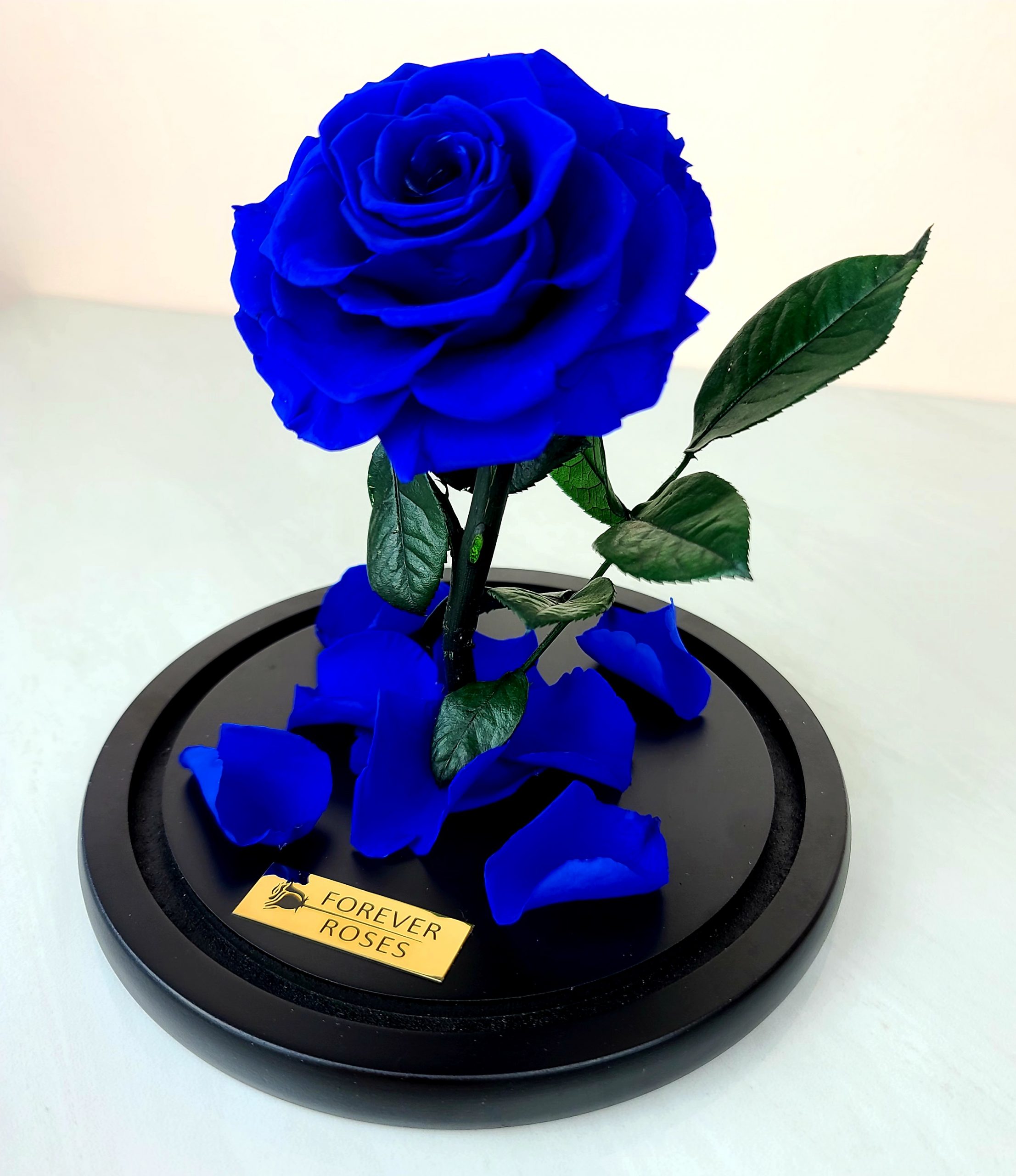 Forever Rose 2 In Glass Dome Blue