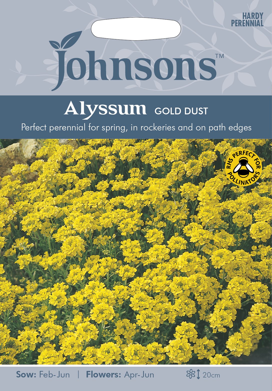 Alyssum Gold Dust Seeds