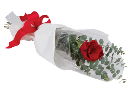 Single red Rose simple wrapping