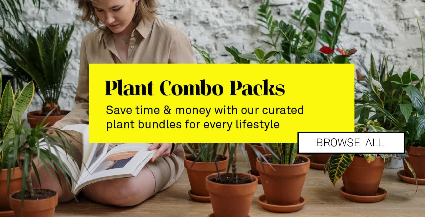 Plant Bundles