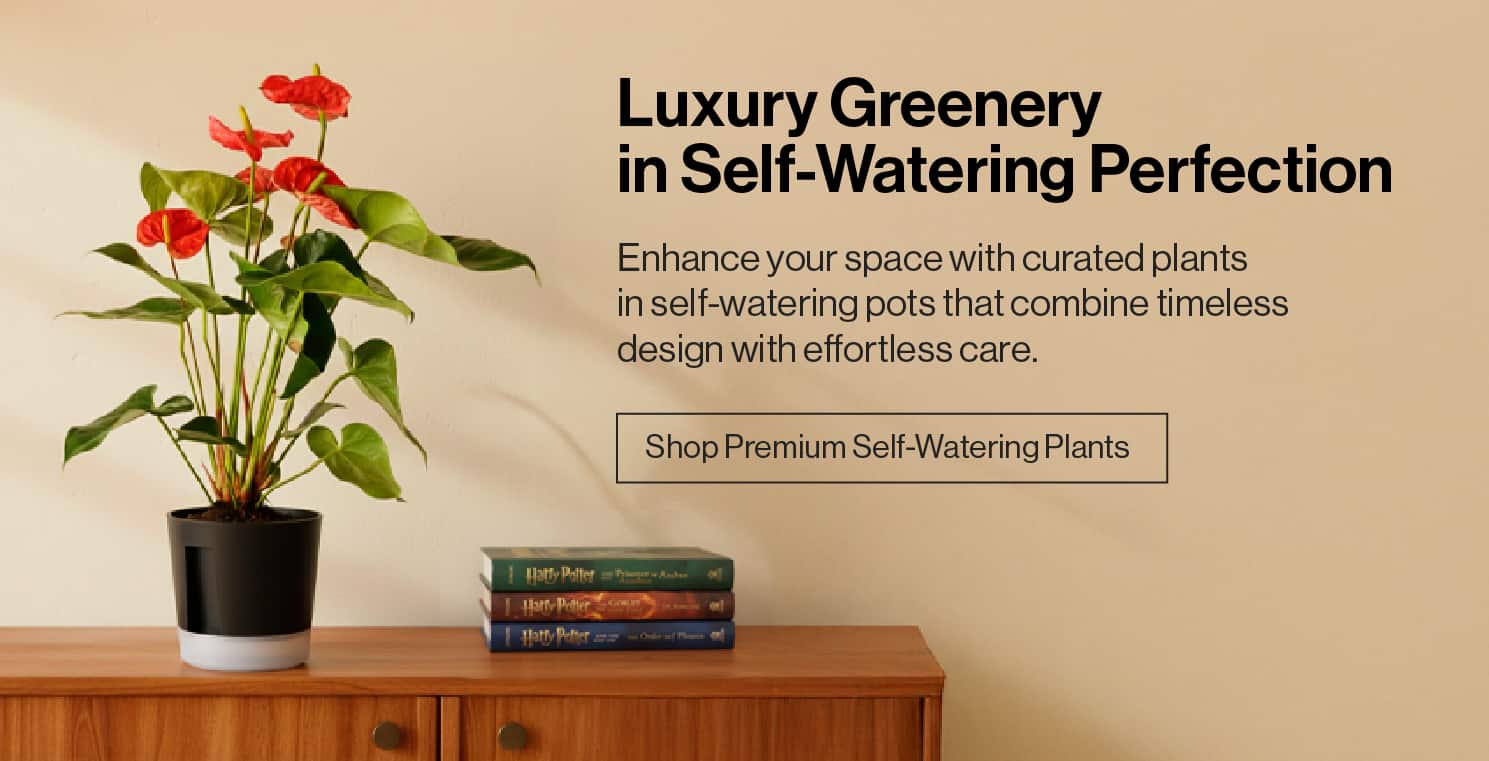 Self watering pots