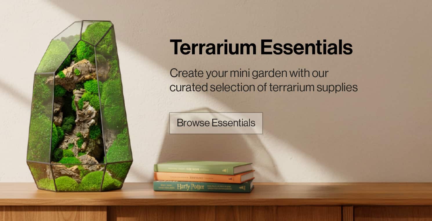 Terrarium Essentials