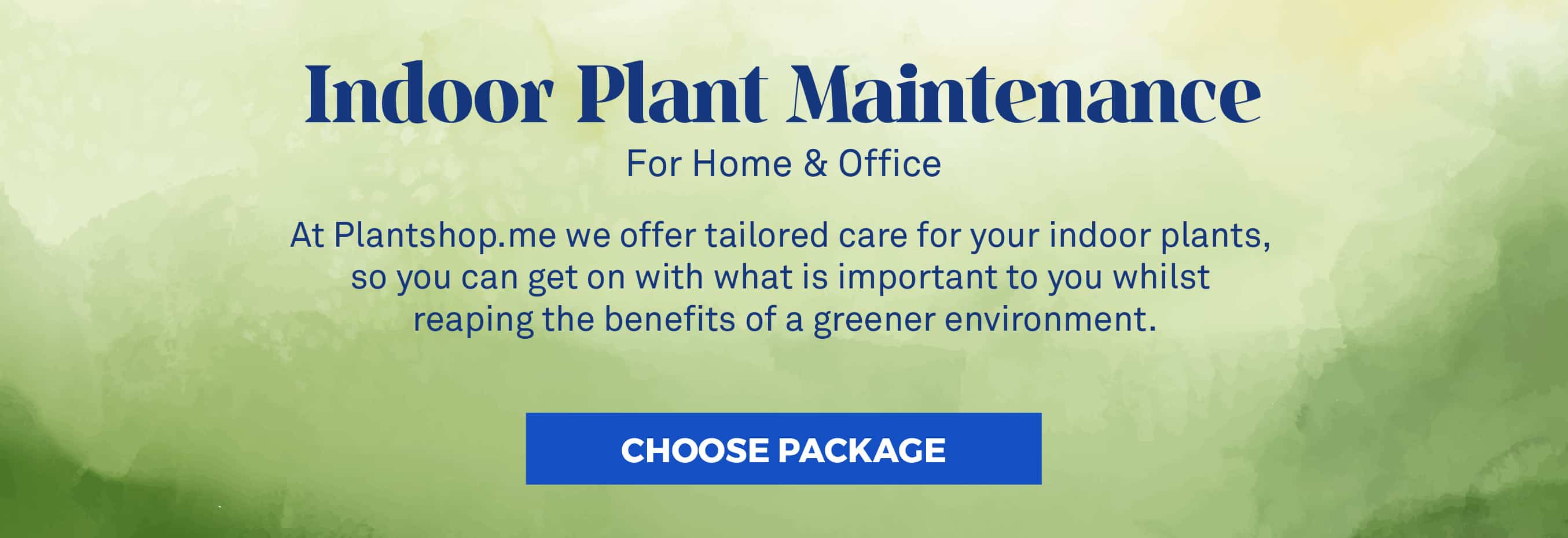 Plant Maintenance Package
