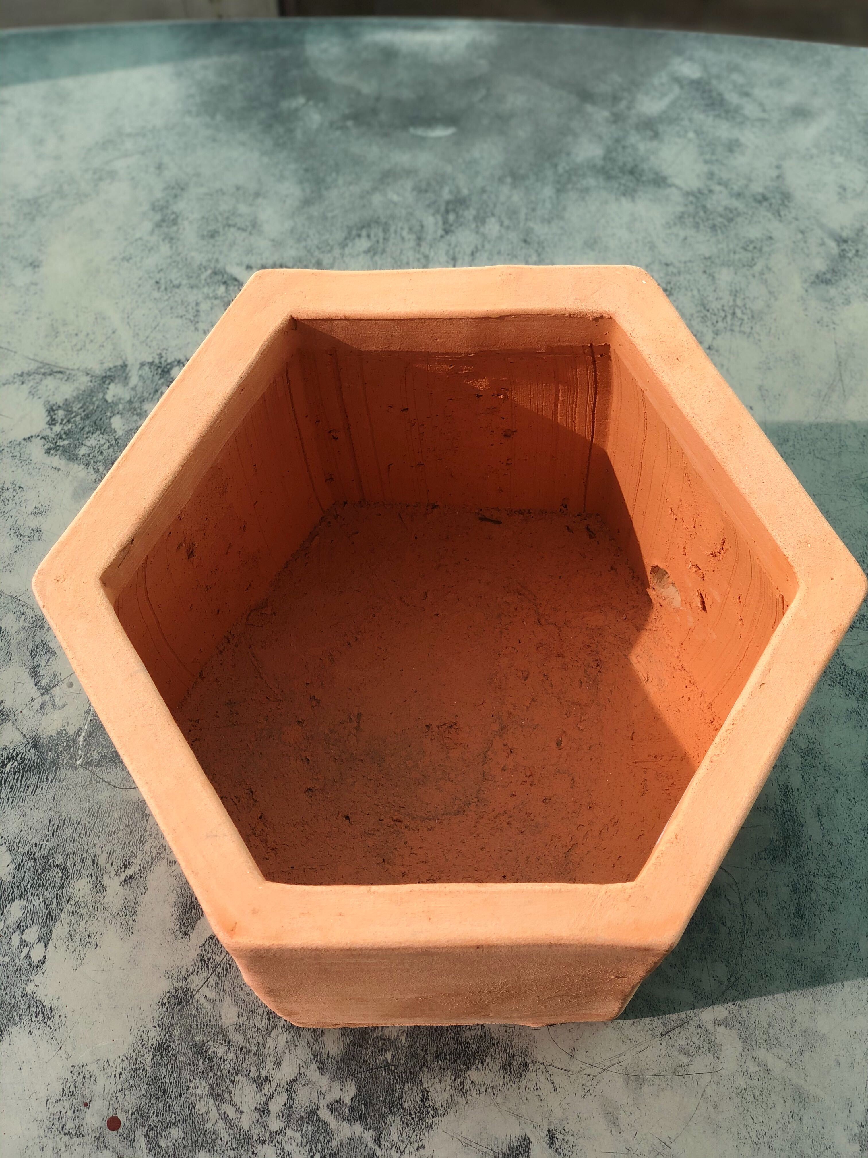 Terracotta Hexagonal Pot