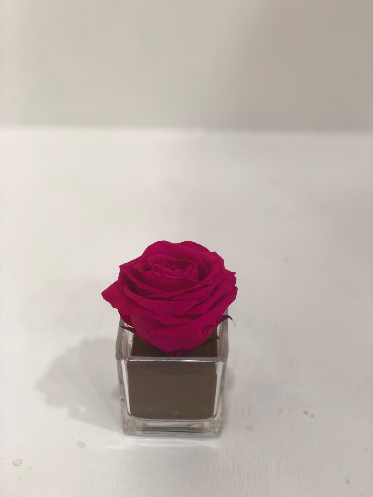 Preserved Rose in Glass Vase