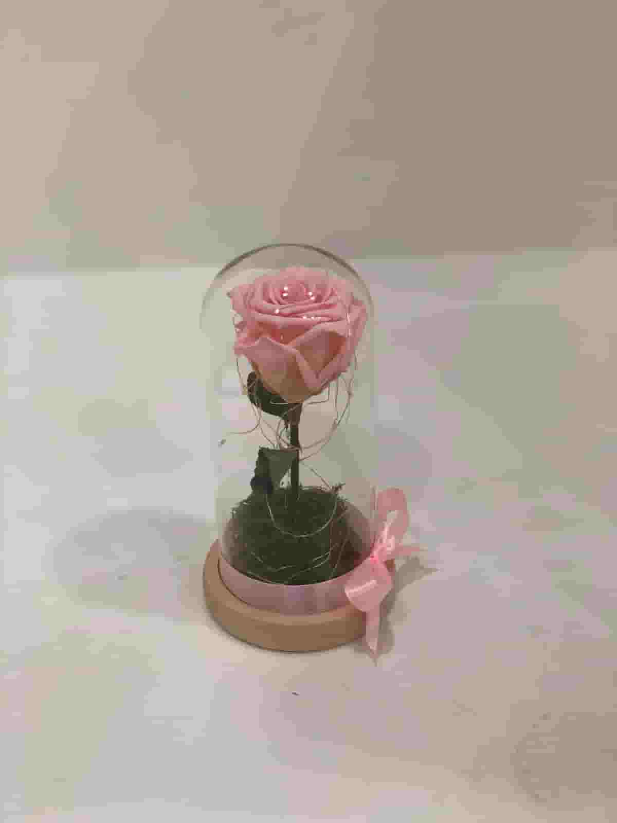 Glowing Preserved Rose