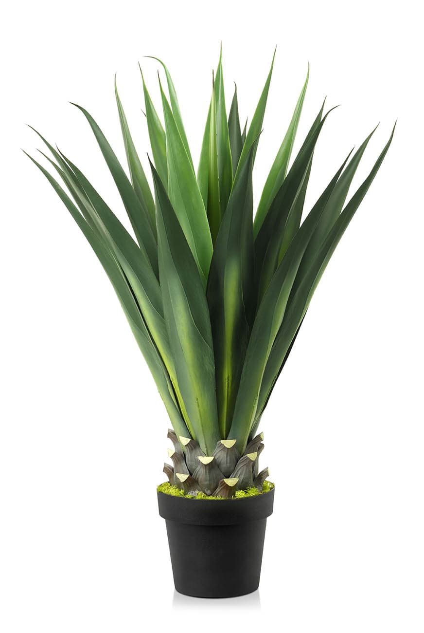 Agave Green Artificial