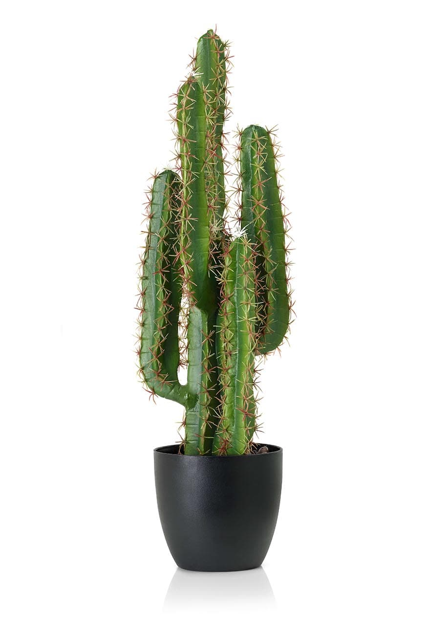 Cactus Long Artificial