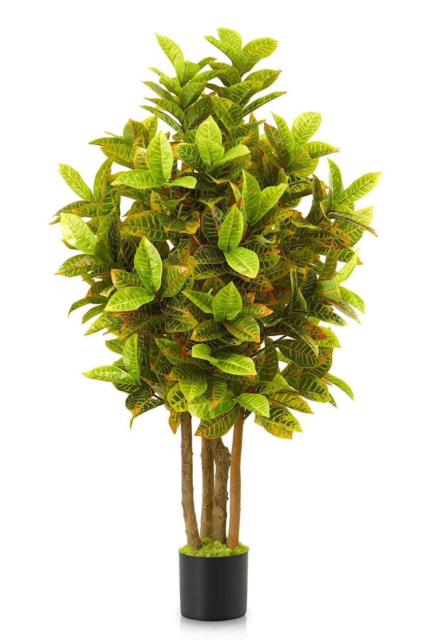Crotton 'Branched' Artificial