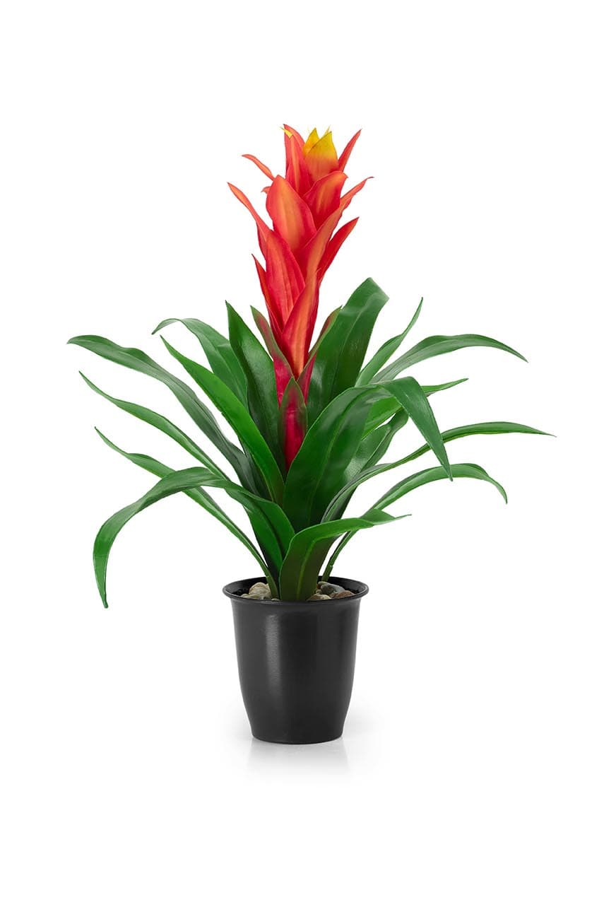 Guzmania Red Artificial - image 1