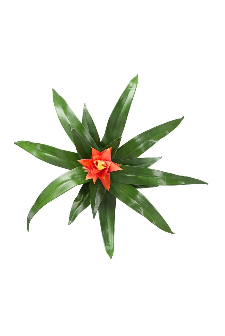 Guzmania Red Artificial - image 2