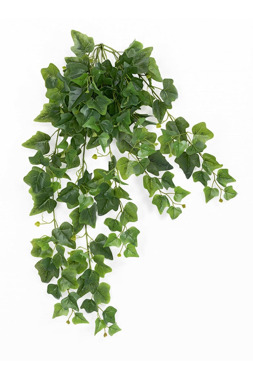 Hedera Green Trailing Artificial