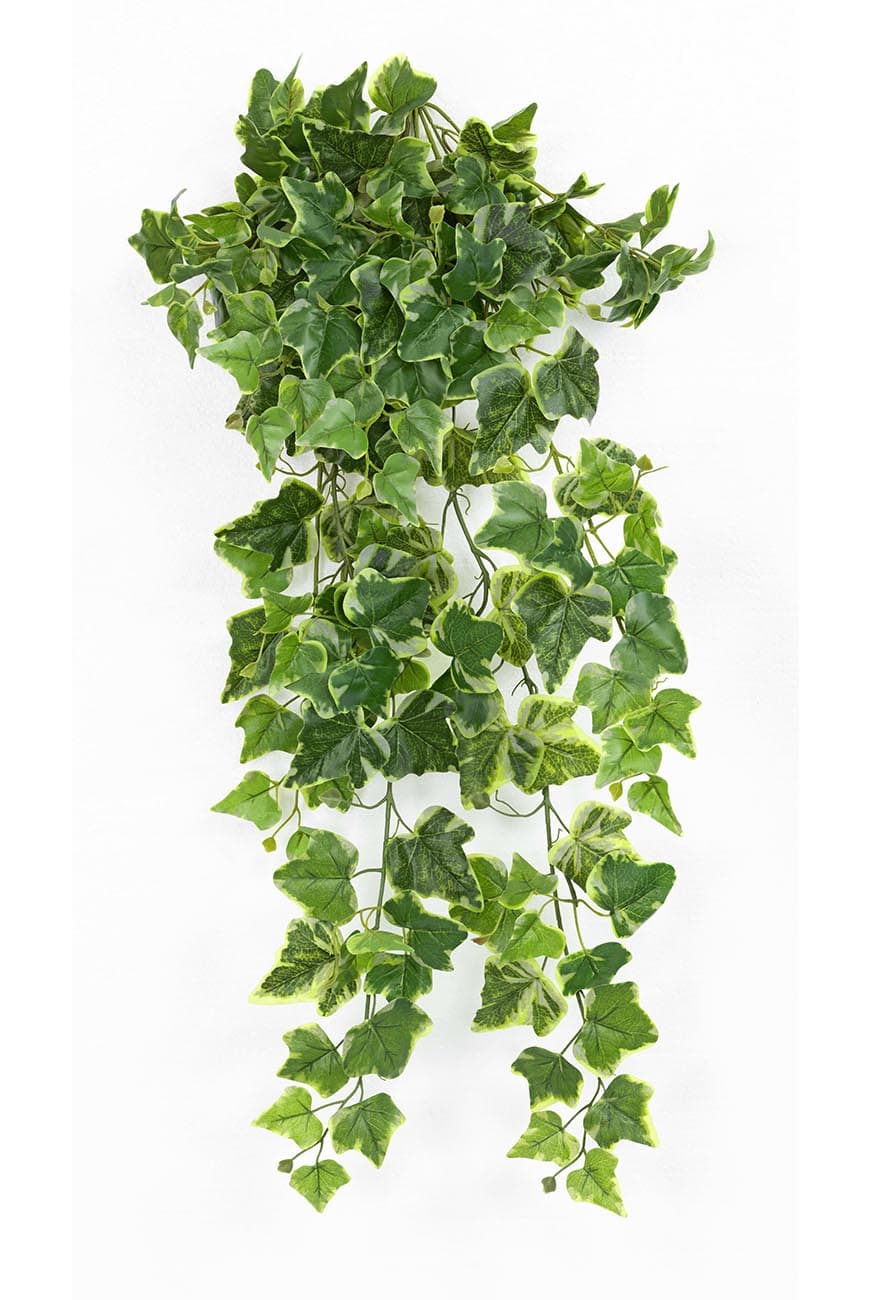 Hedera Varigated Trailing Artificial