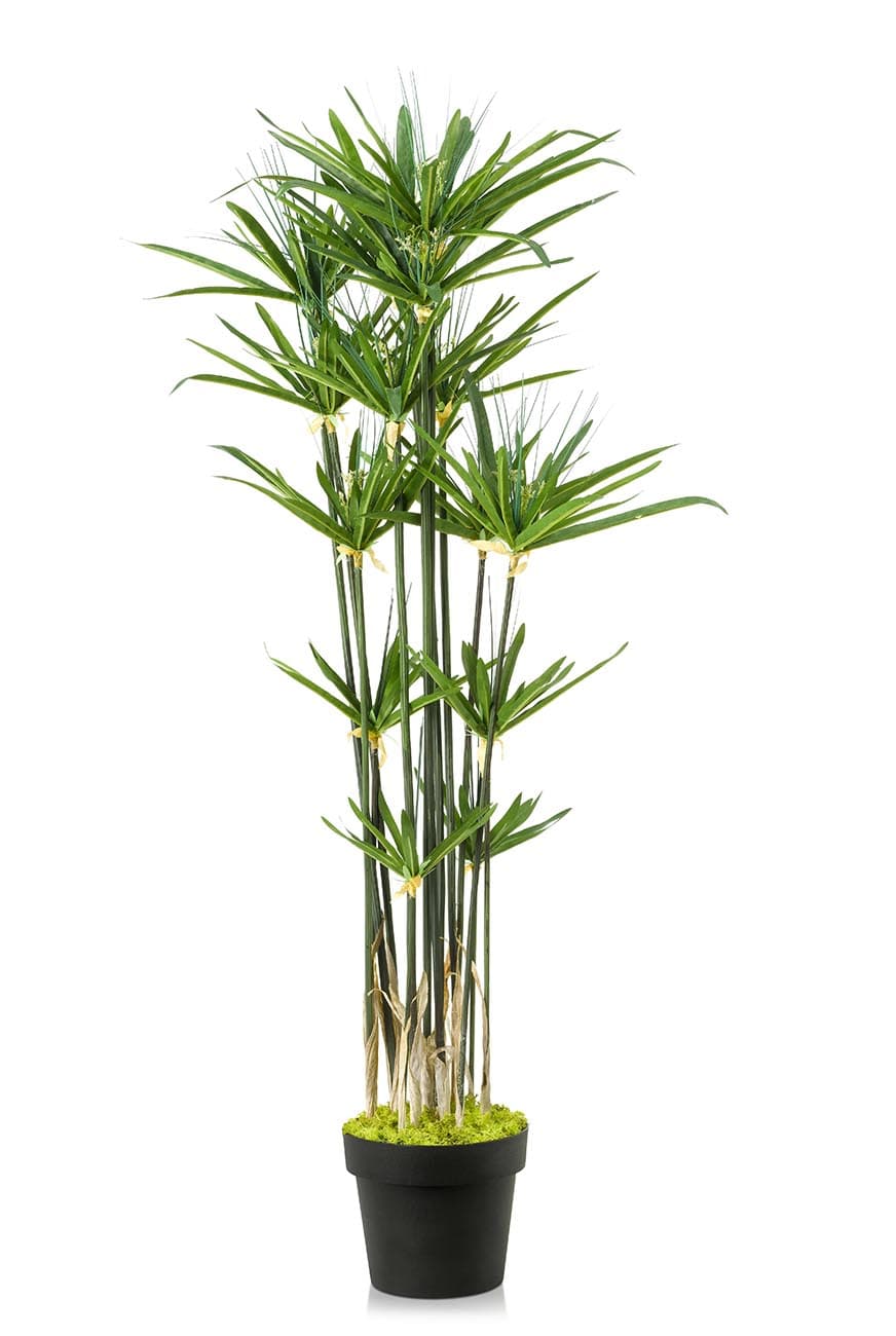 Pappyrus Reed Artificial