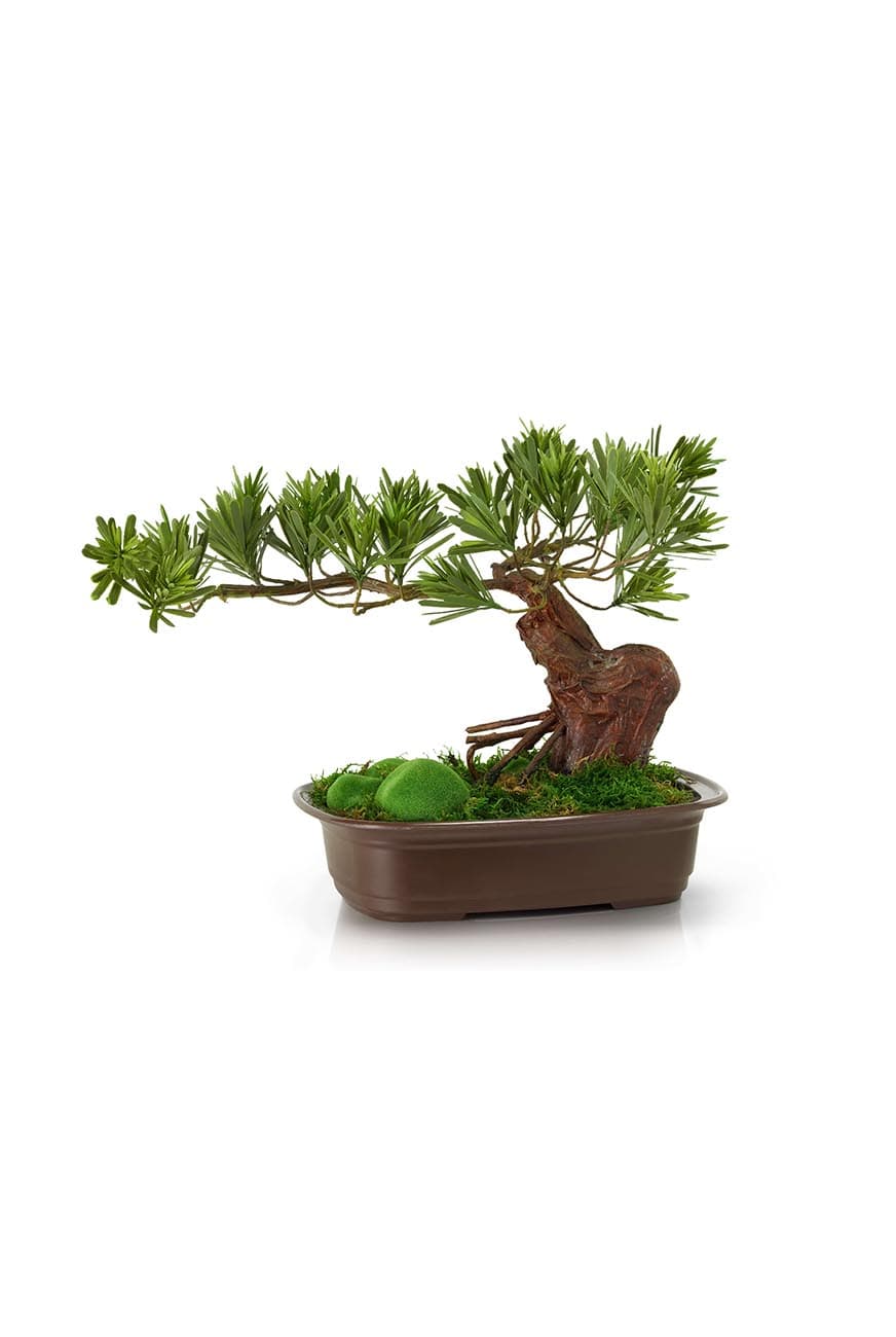 Podocarpus Bonsai Artificial
