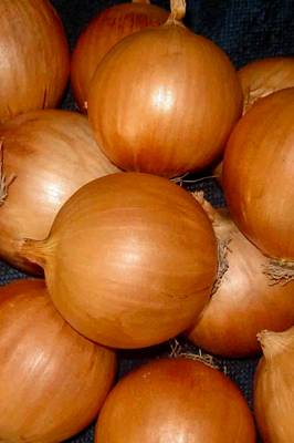Yellow Onion Seeds