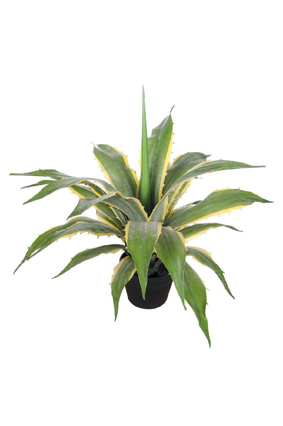 Agave Varigated Artificial