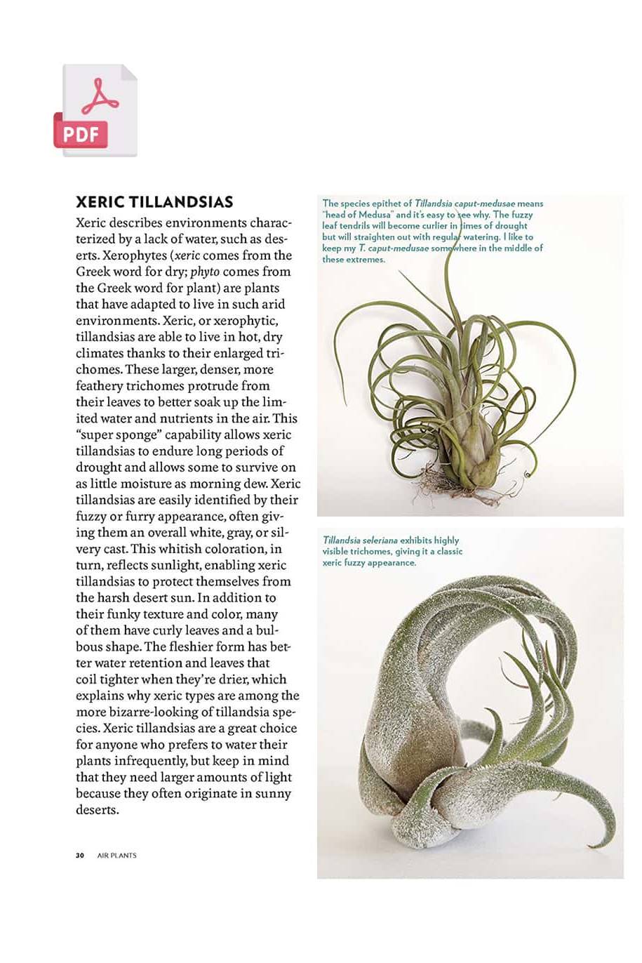 Air Plants - 224 pages