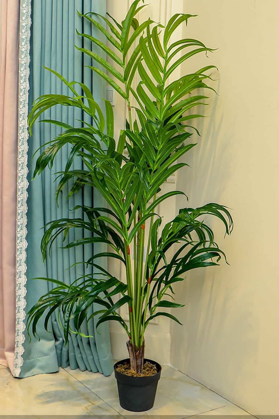 Kentia Palm Artificial 150cm