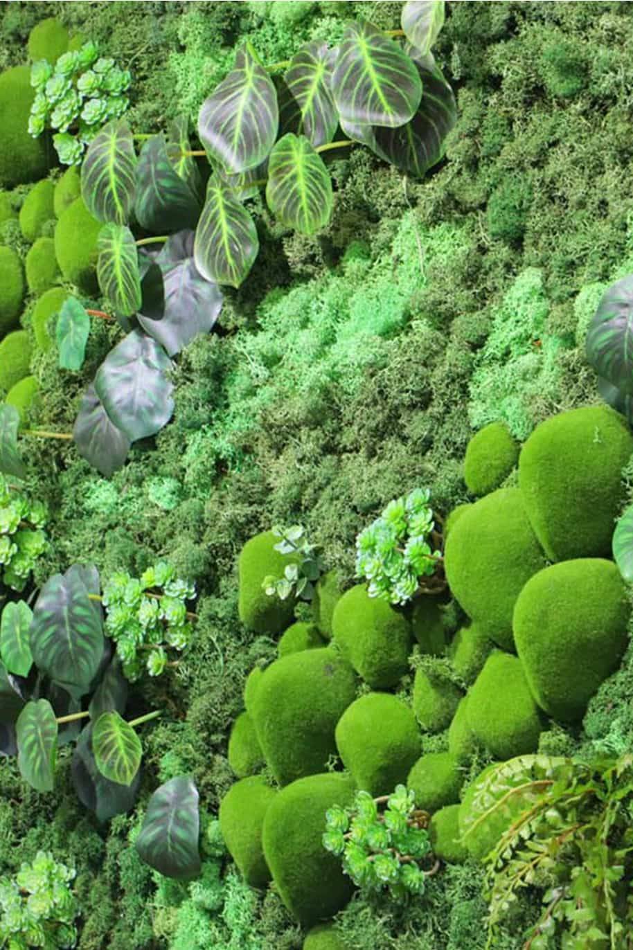 Artificial Fern Moss Wall Art