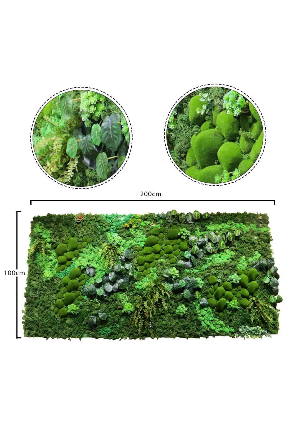 Artificial Fern Moss Wall Art