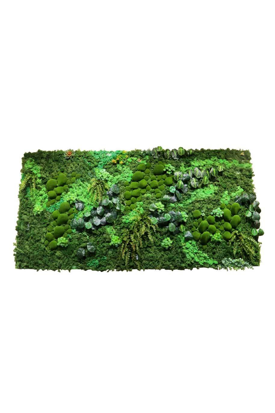 Artificial Fern Moss Wall Art