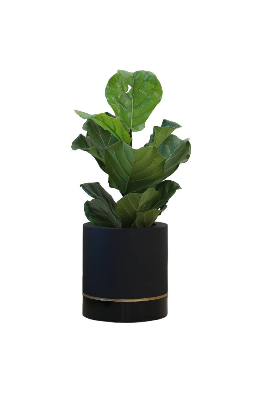 PS Decor
