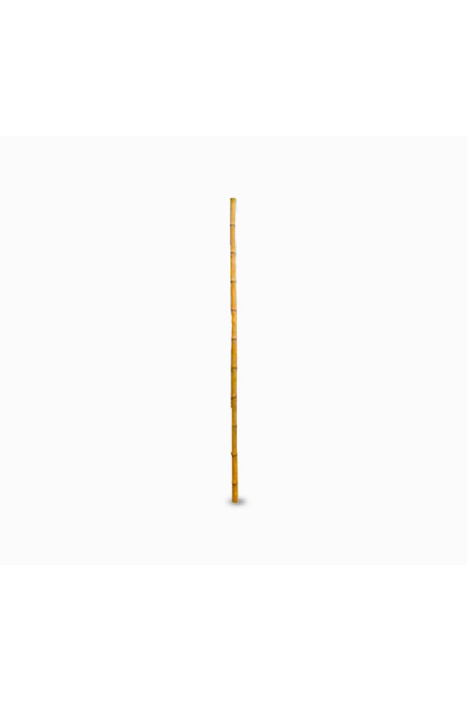 Bamboo Cane Plant Support Garden Stick