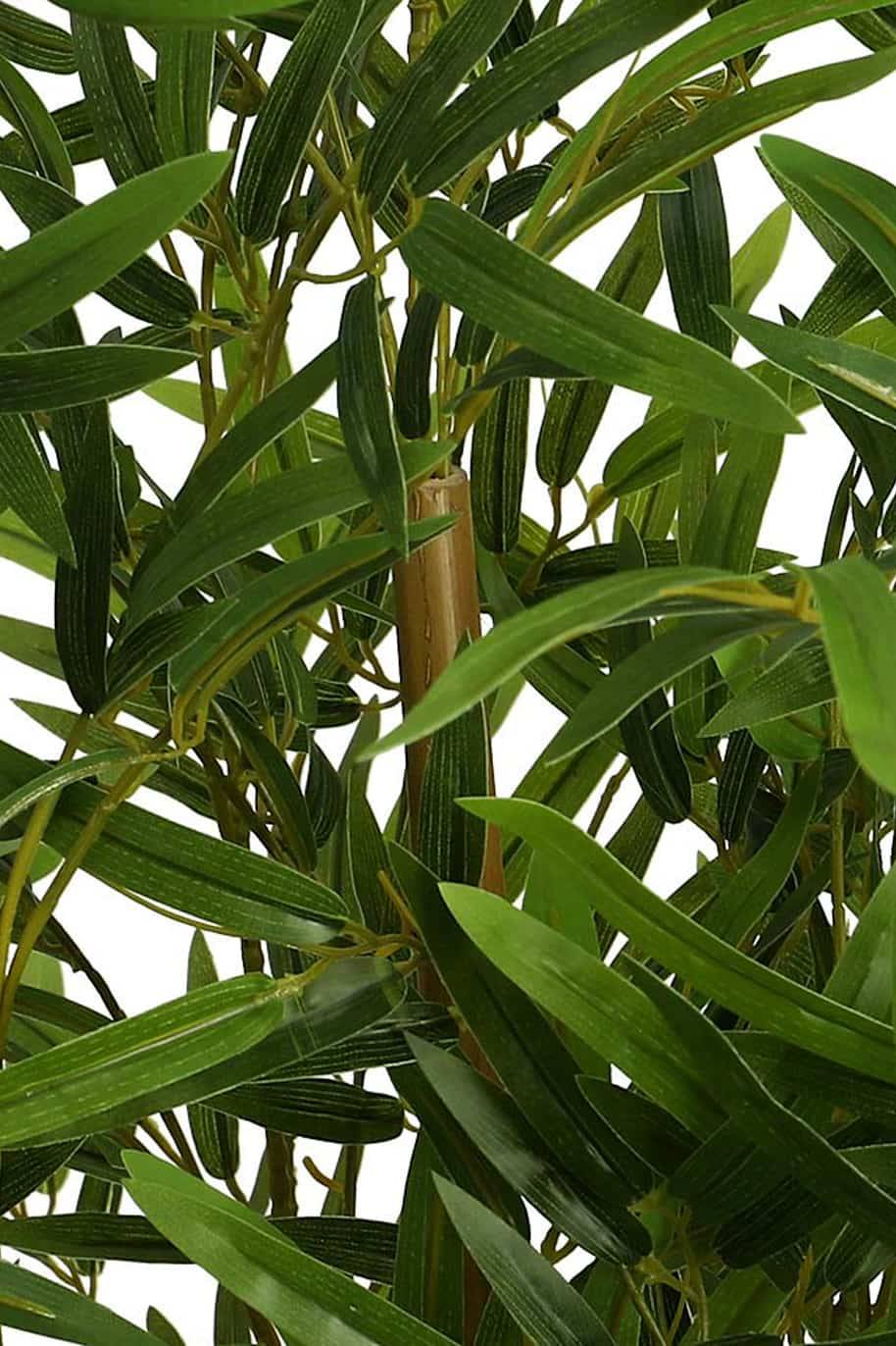 Bamboo Palm Artificial 160cm