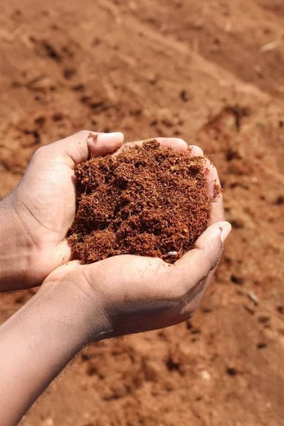 Bio Organic Coco Peat