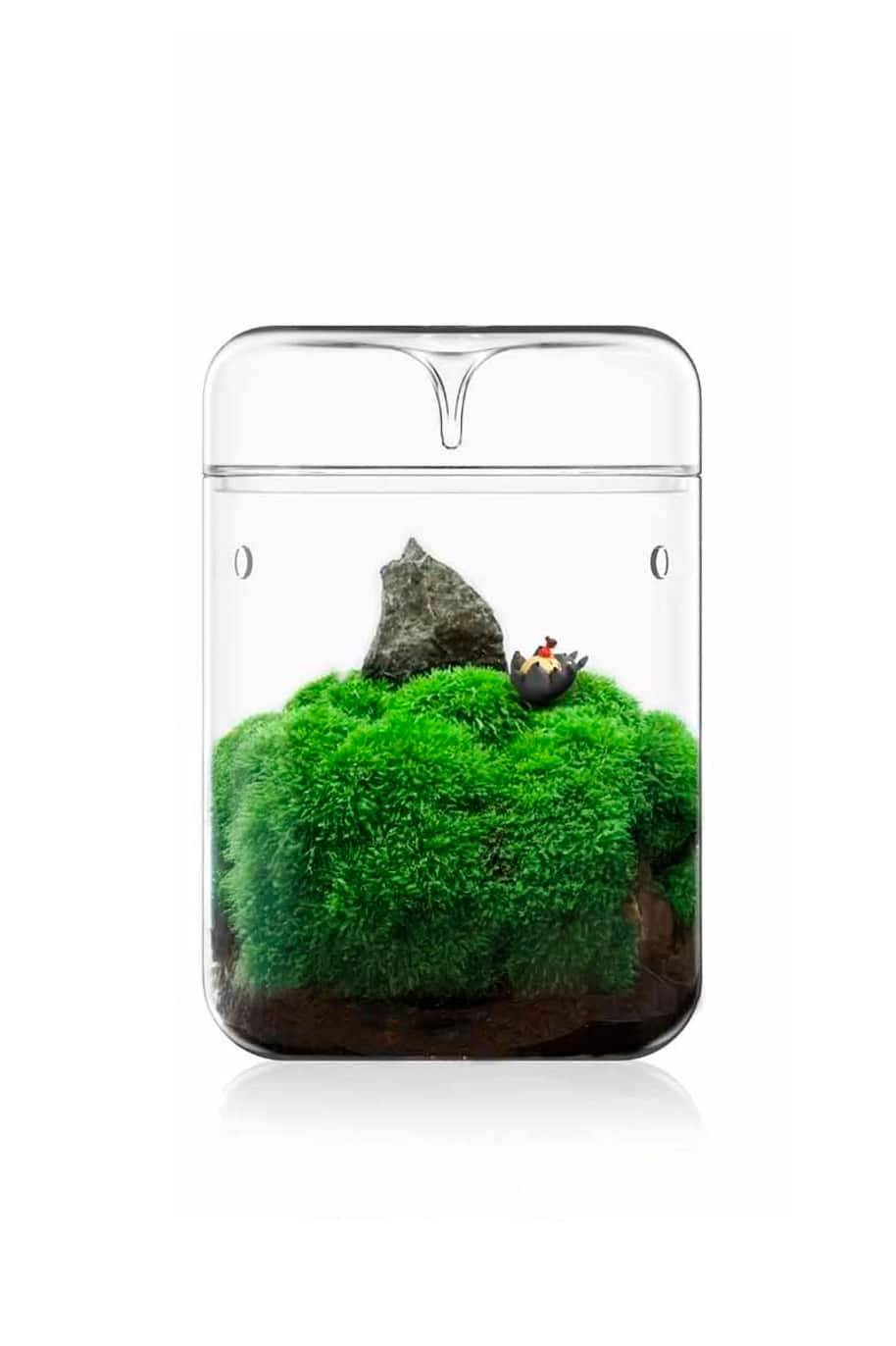 PS Terrarium