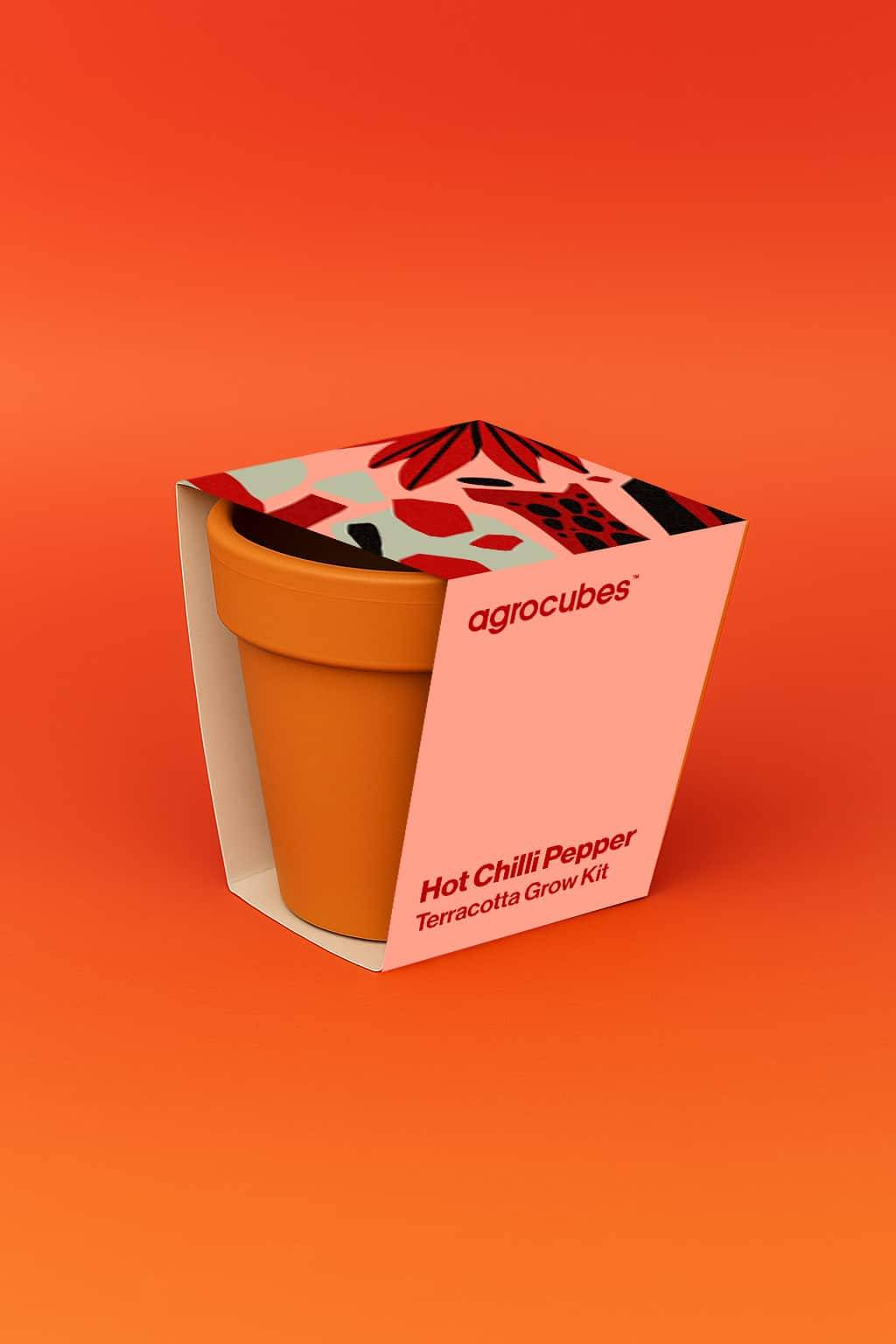 Chilli Pepper Terracotta Grow Kit