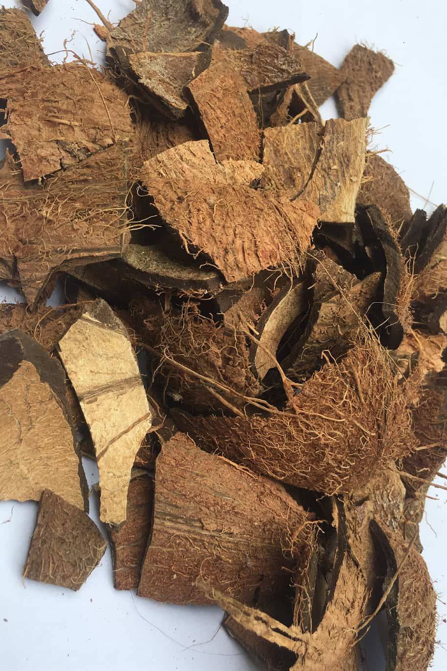 Organic Coconut Shell Chips