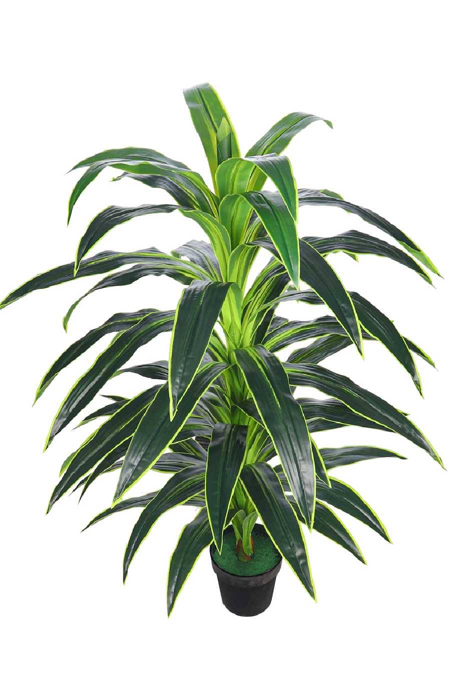 Dracaena Janet Artificial