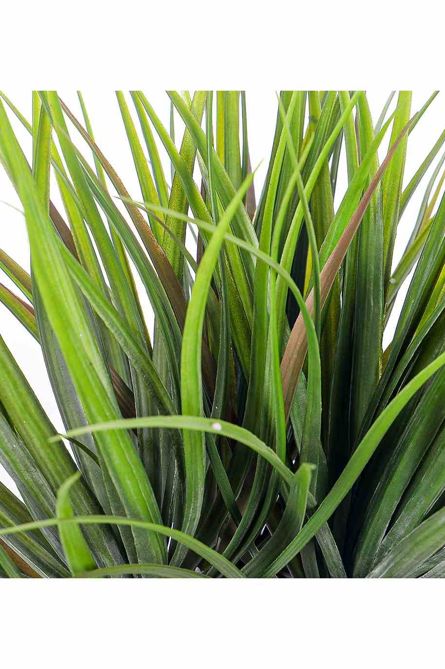 Dracaena Marginata Artificial