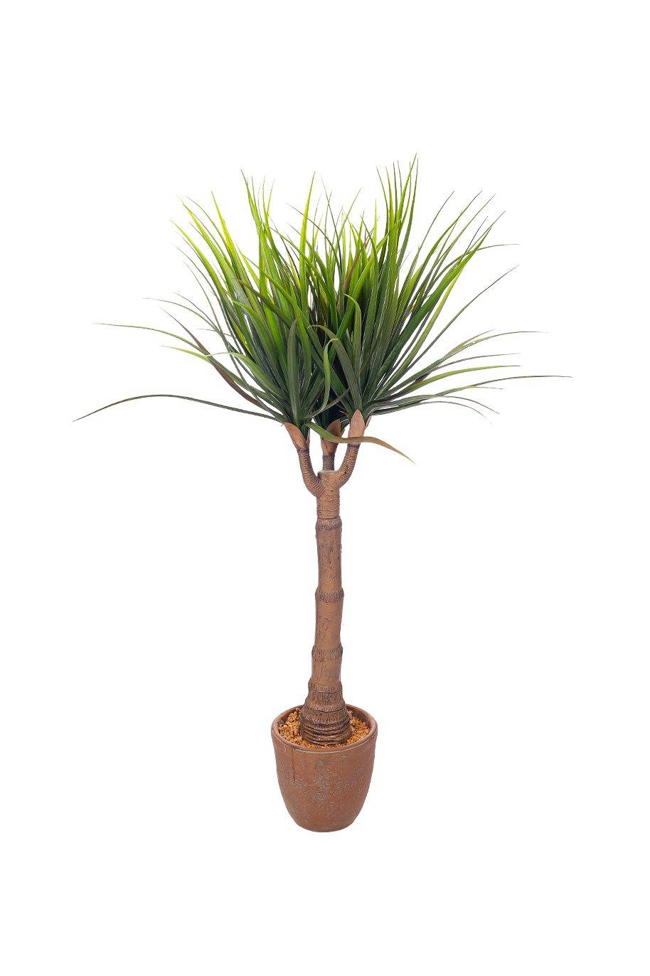 Dracaena Marginata Artificial