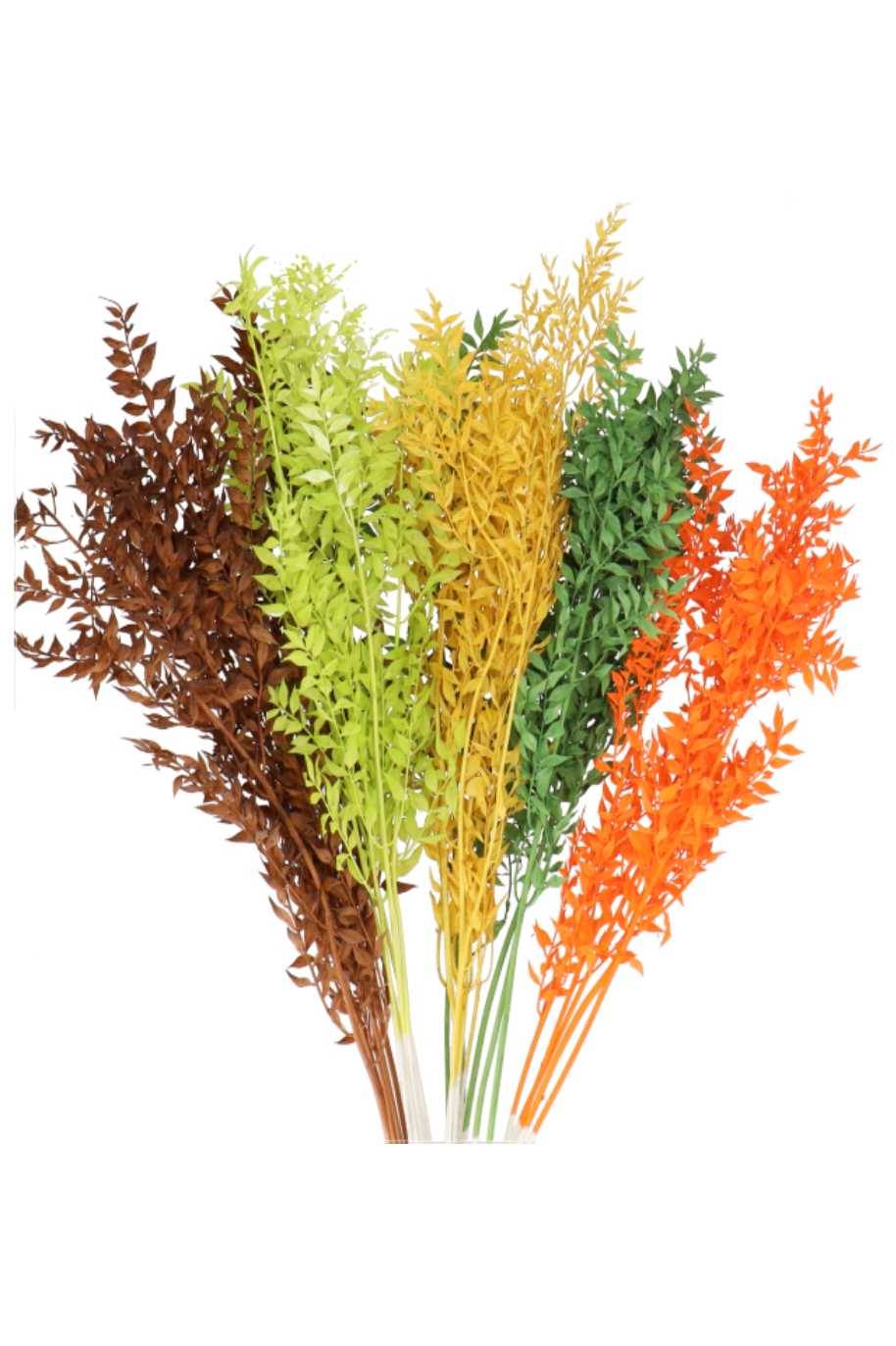 Dried Ruscus Mix