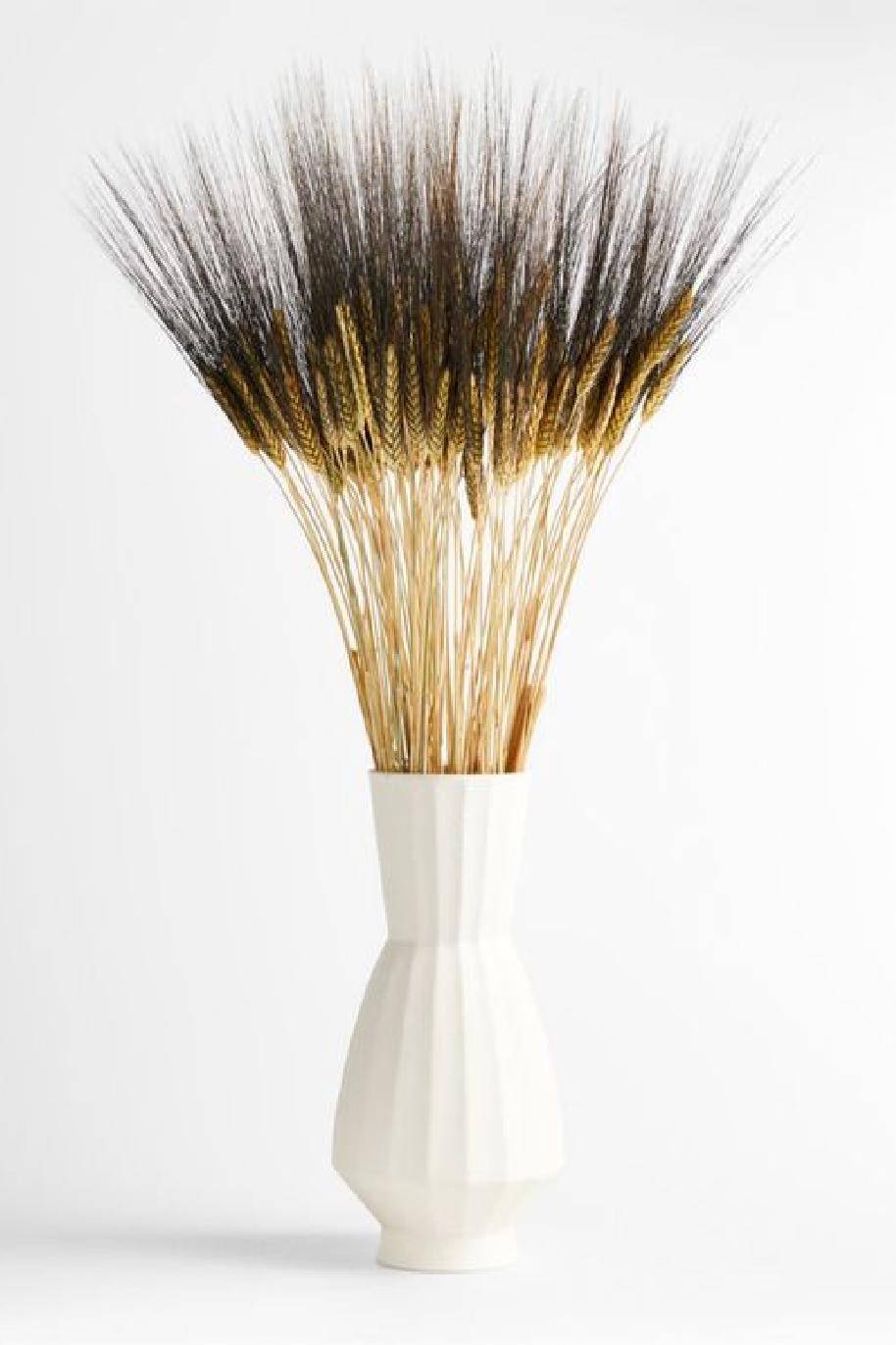 Dried Triticum (Wheat) - Blackbeard Bunch