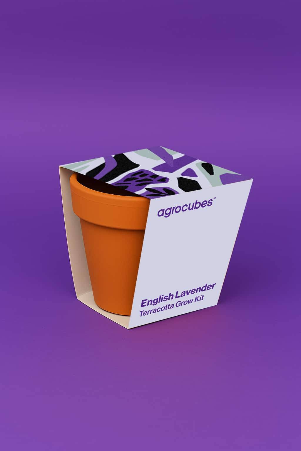 English Lavender Terracotta Grow Kit