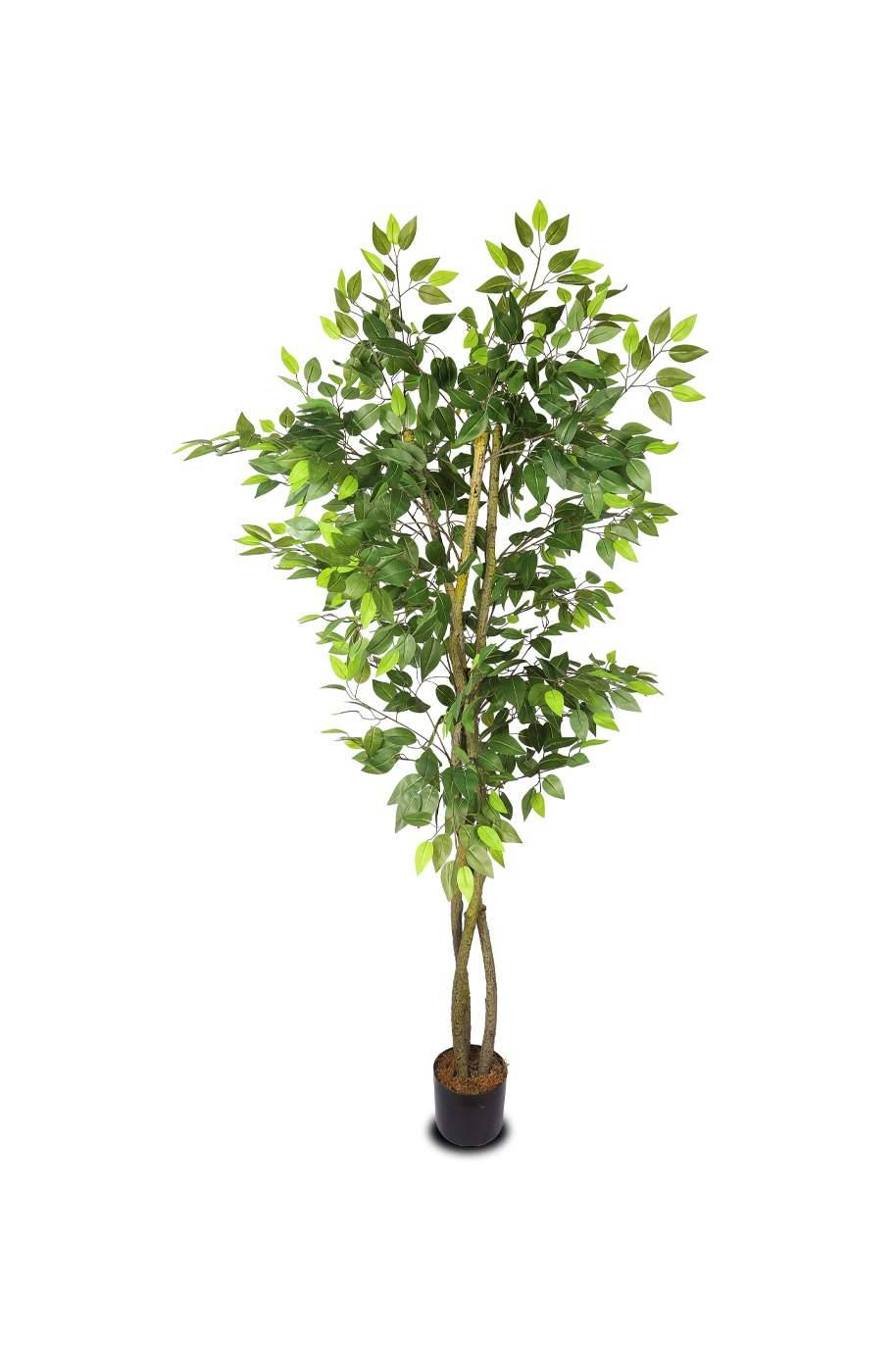 Ficus Benjamina Artificial