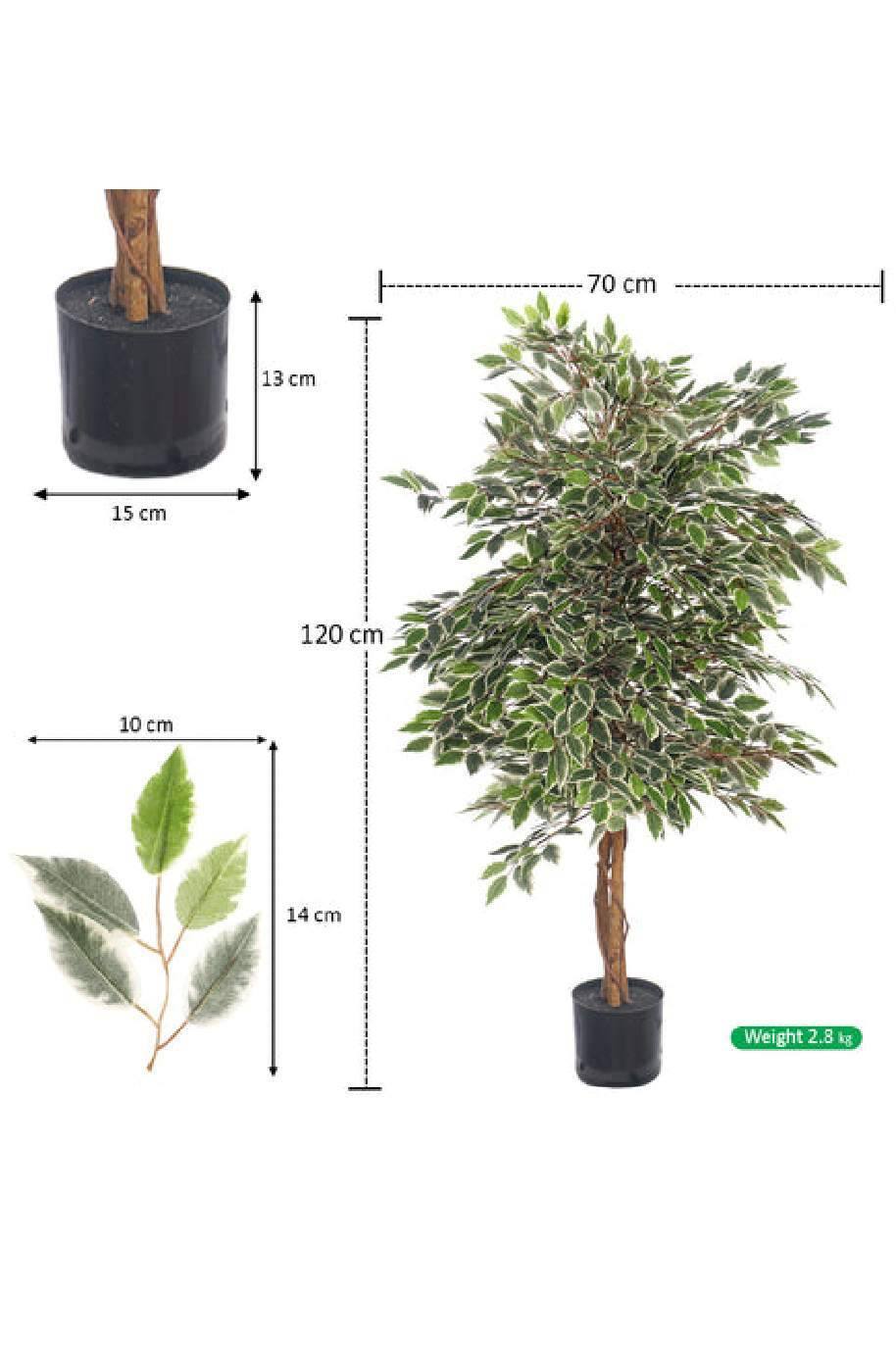 Ficus Benjamina Starlight Artificial
