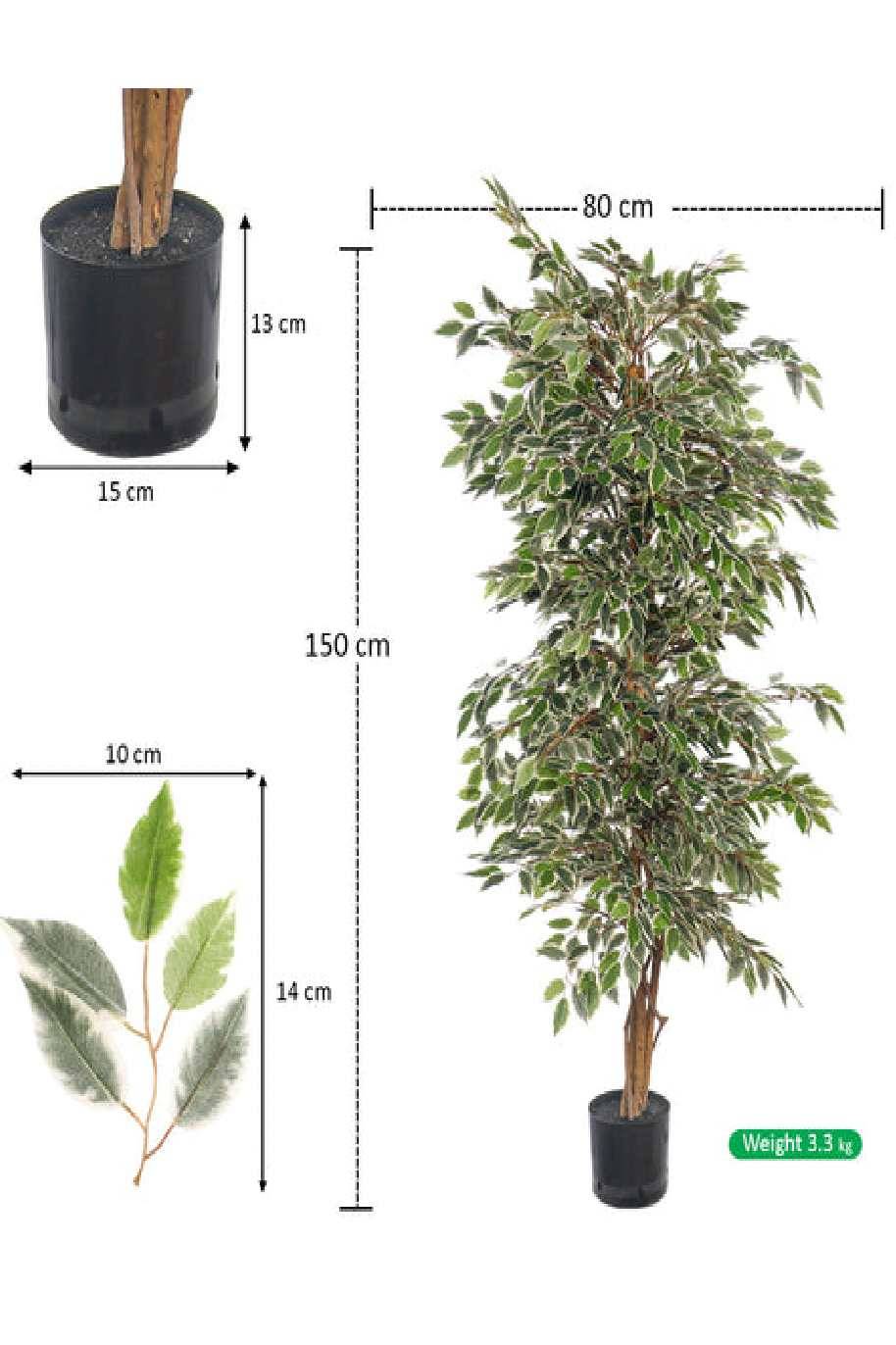 Ficus Benjamina Starlight Artificial