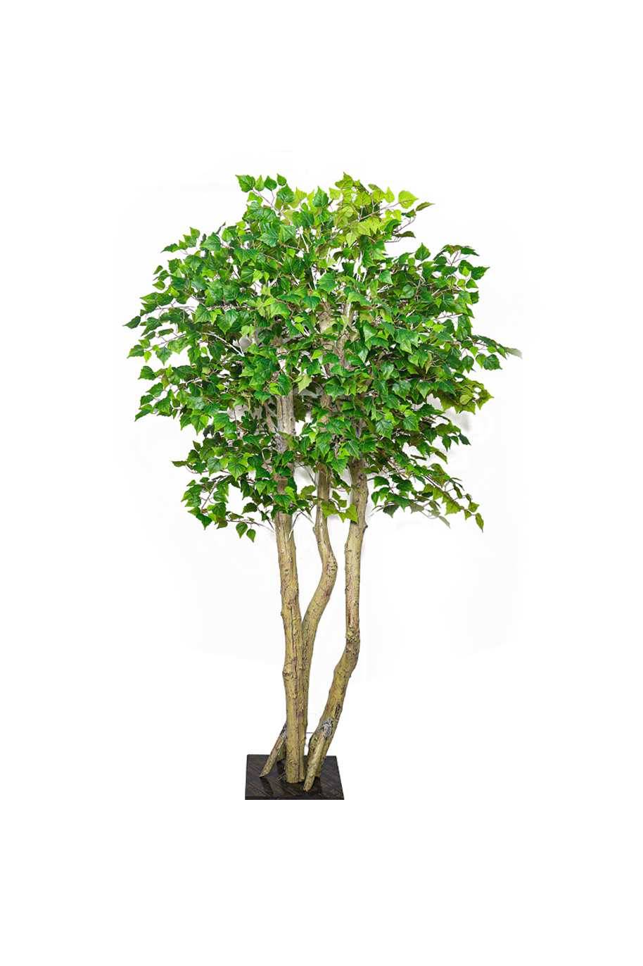 Ficus Tree Artificial 2.5Mtr