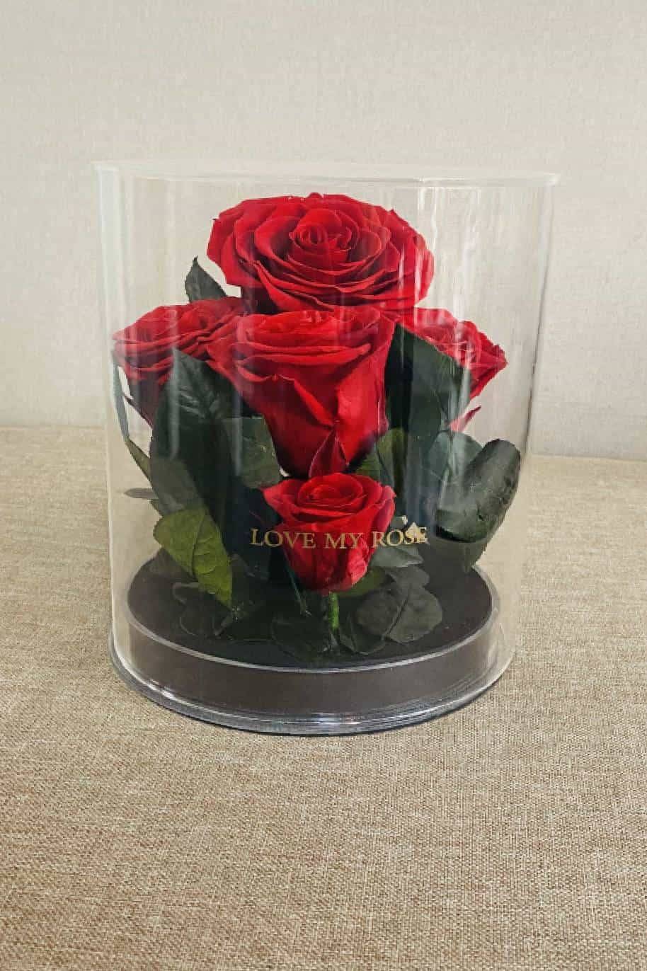 Forever Rose - Red 5 In Acrylic Cylinder Size: 18 Cm H X 15 Dia