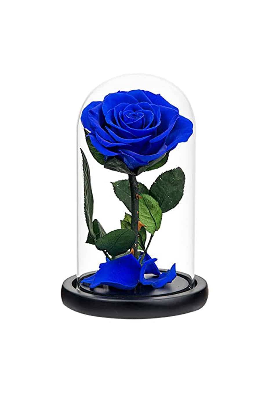 Forever Rose Single Blue