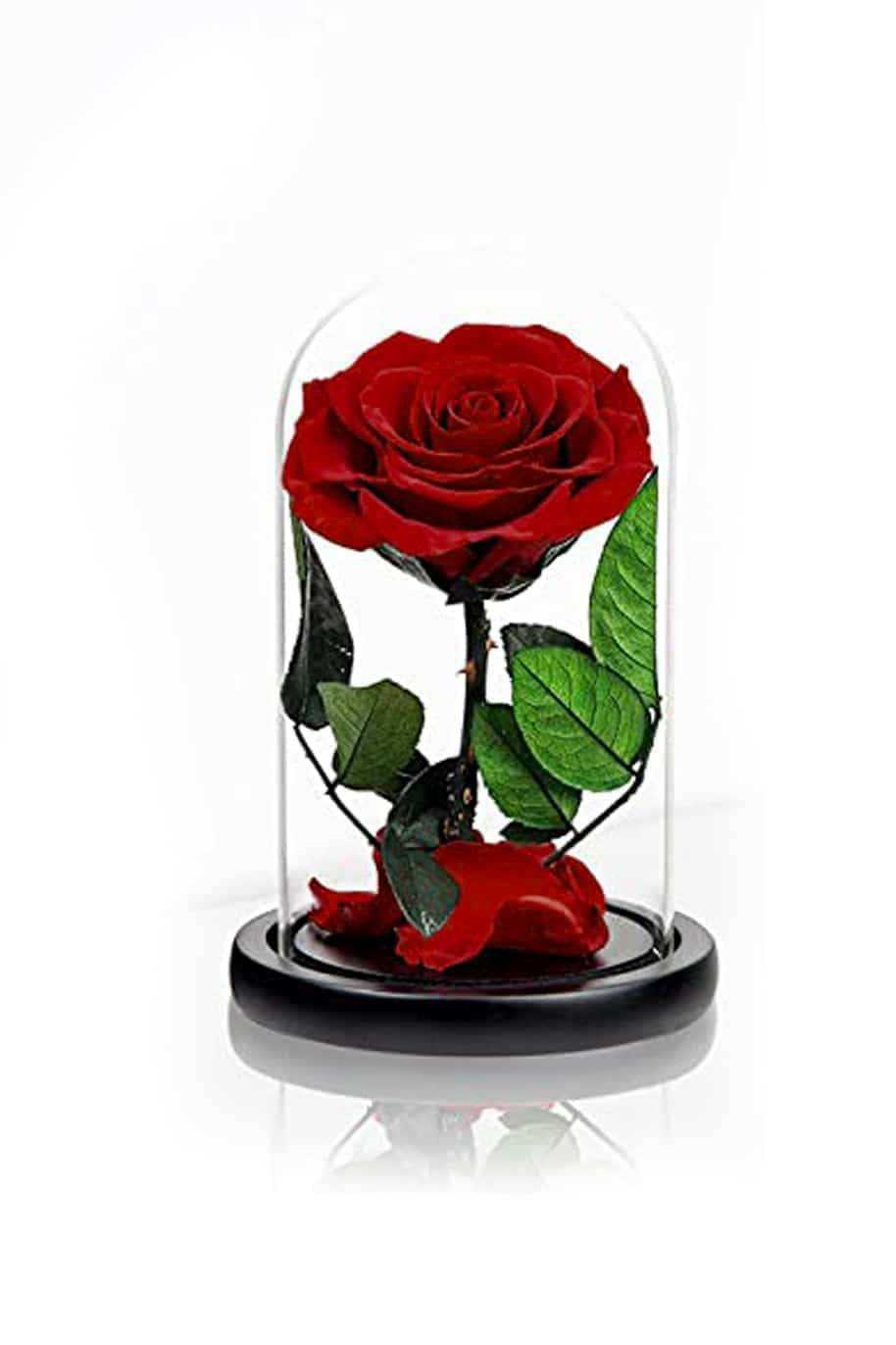 Forever Rose Single Dark Red