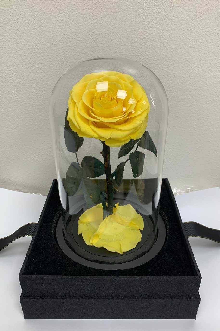 Forever Rose Single Yellow