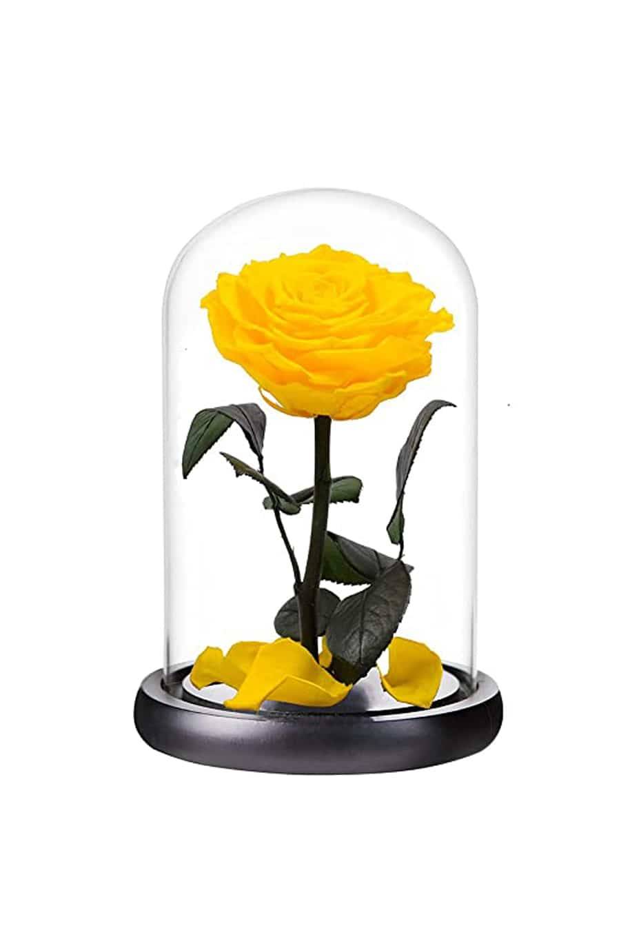 Forever Rose Single Yellow