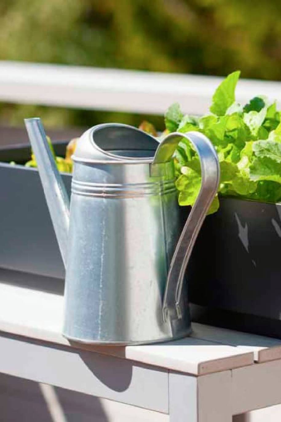 Galvo Watering Can