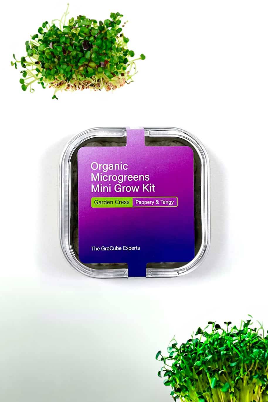 Garden Cress - Mini Microgreen Grow Kit
